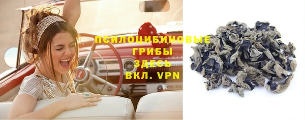первитин Горнозаводск