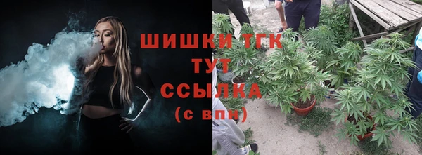 первитин Горнозаводск