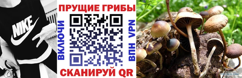 Галлюциногенные грибы Magic Shrooms  цена наркотик  гидра как войти  Железногорск 