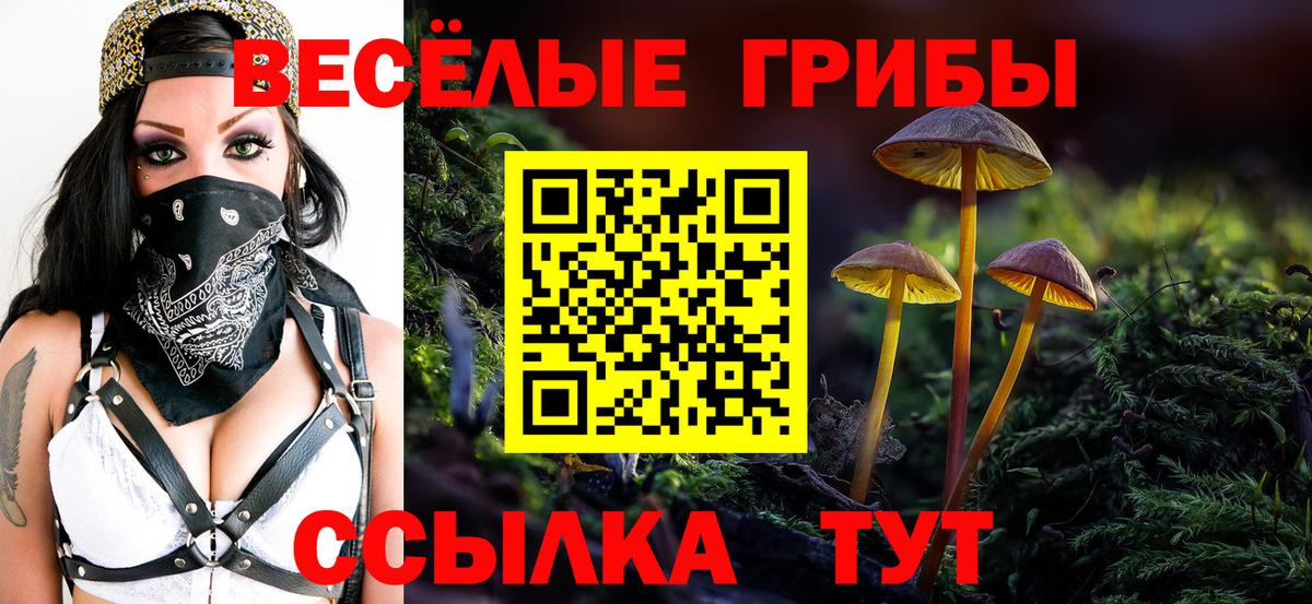 Псилоцибиновые грибы Psilocybe  купить наркоту  Железногорск  Вход с VPN  Псилоцибиновые грибы мицелий 