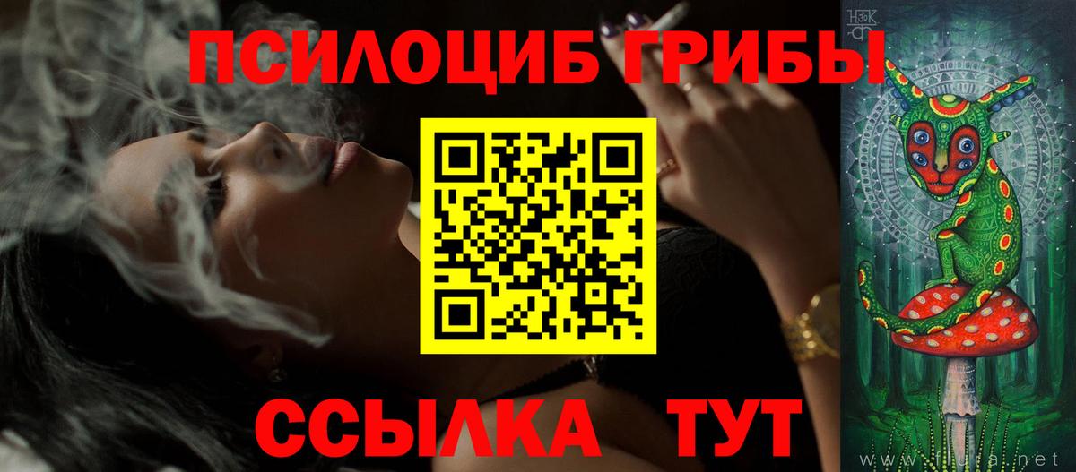 Псилоцибиновые грибы GOLDEN TEACHER  Железногорск 